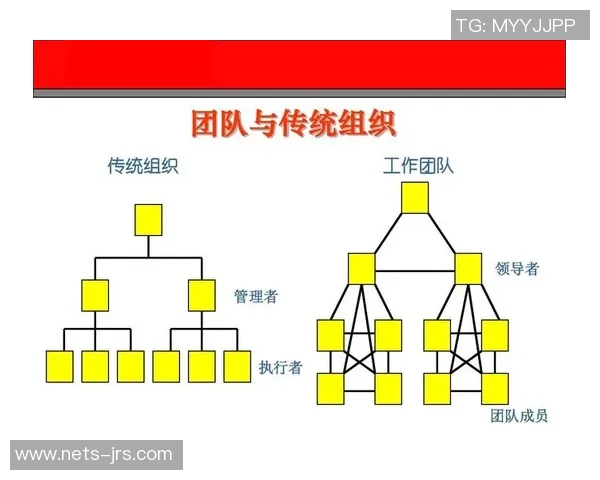 南京羽毛球队配合表现数据分析揭示团队协作与比赛胜率之间的关系